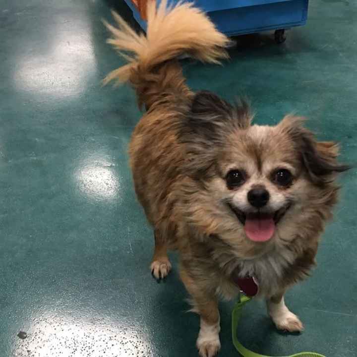 NWR: Pets on Instagram