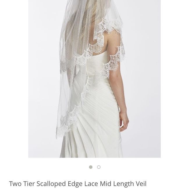 To veil or NOT to veil. .