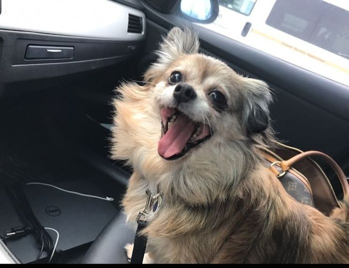 NWR: Show me your pups!