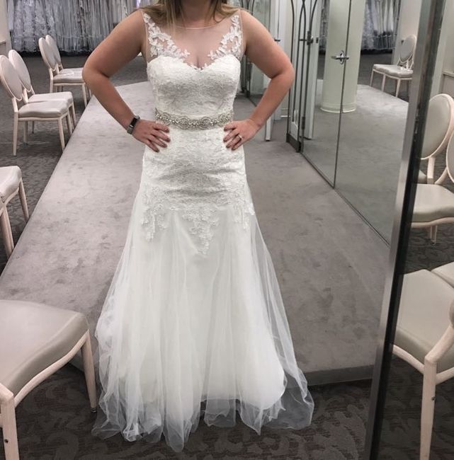 Davids Bridal Dresses!