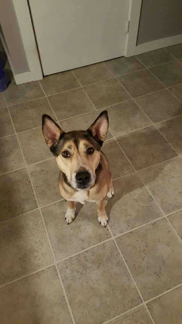 It's Fursday! Share the love!