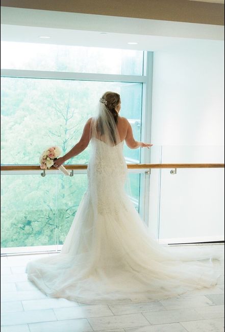 Veil