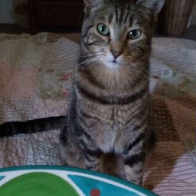 NWR: Today freaking sucks.