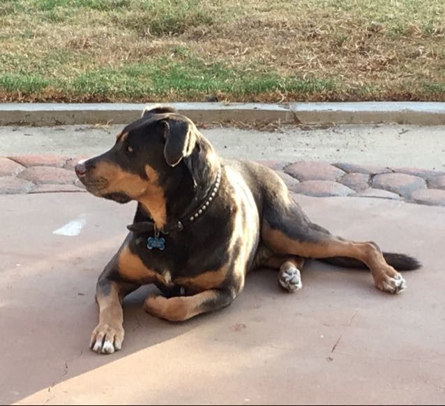 NWR: Today freaking sucks.