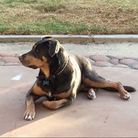 NWR: Today freaking sucks.