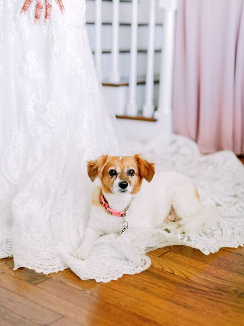 Wedding pictures Sneak Peek!! - 1