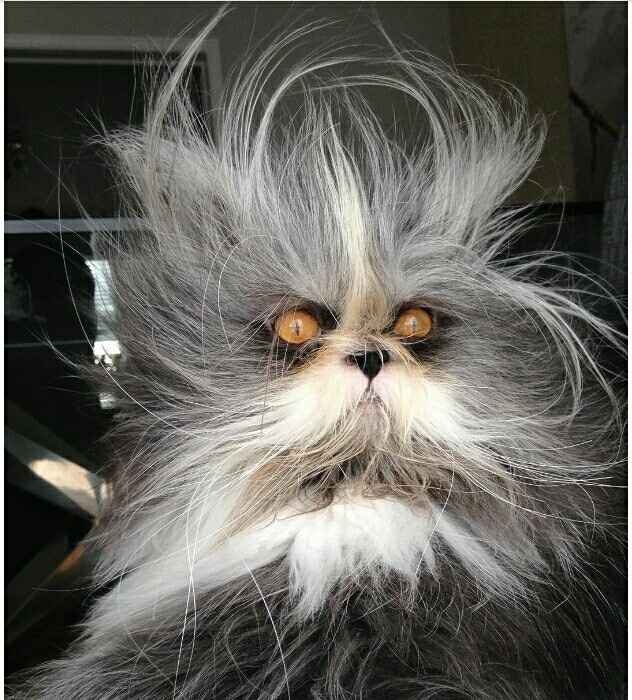 Pot Luck Reception and High-End Registry