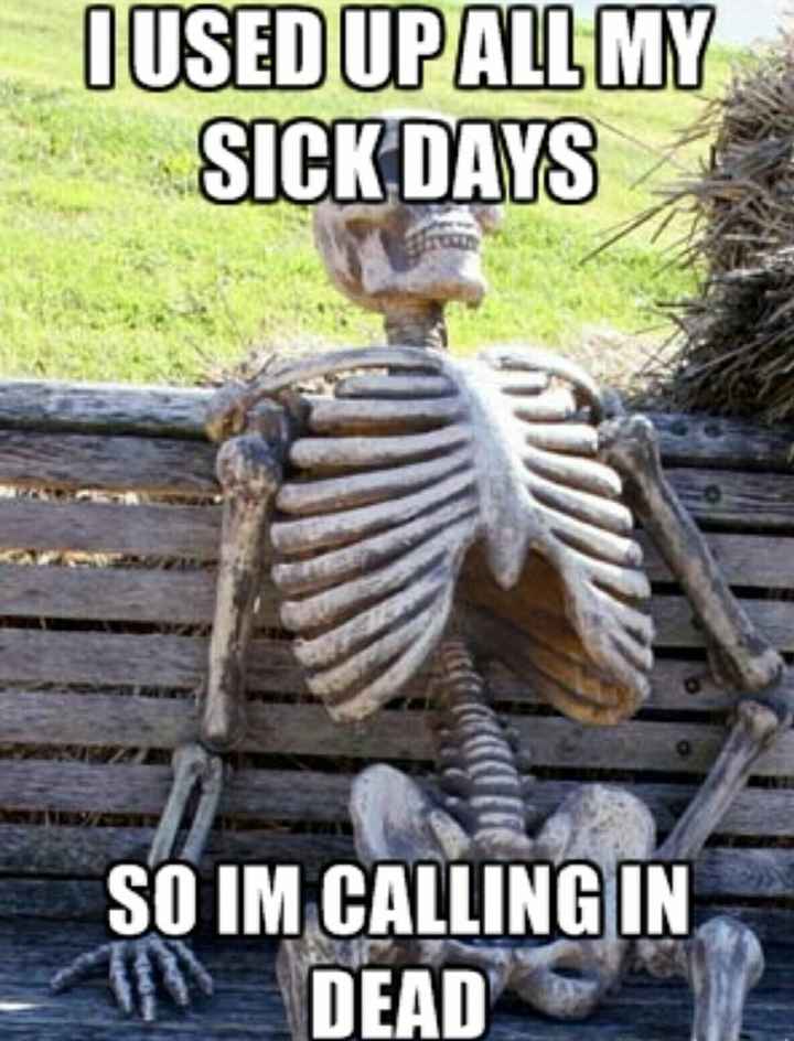 Show Me Your Work Memes