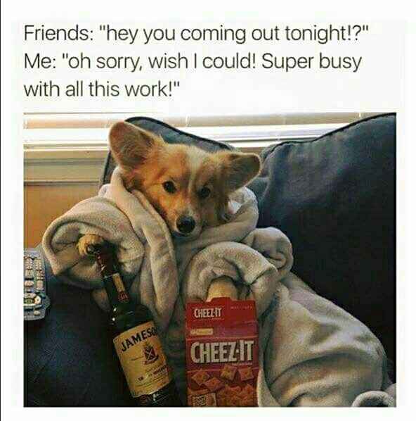 Is there any way to contact a mod?