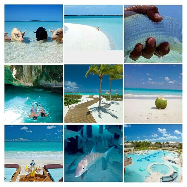 Show me your honeymoon destination