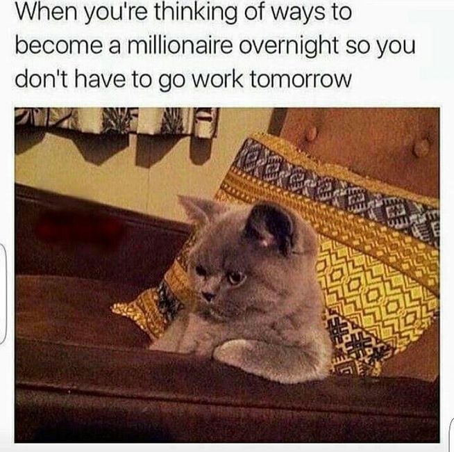 Cranky pants Monday