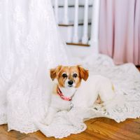 Wedding pictures Sneak Peek!! - 1