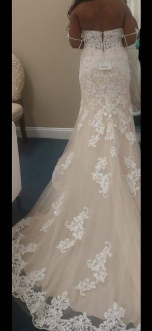 Alterations Before and After - 2