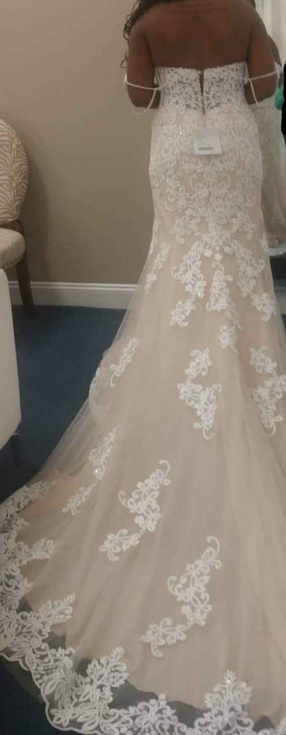 Moscato Color Looks Different - 4