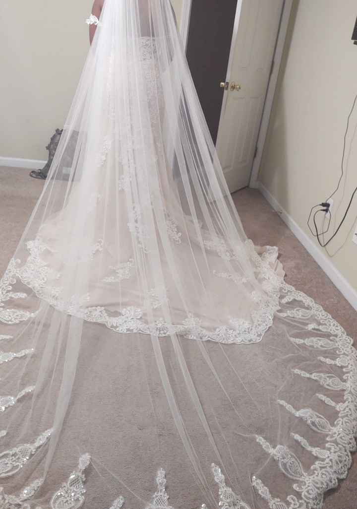 Clueless About Veils 2