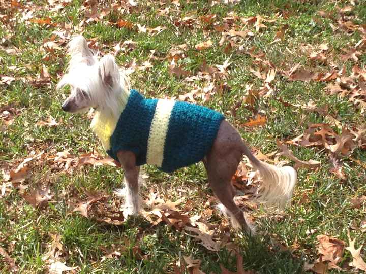 NWR: Lets See Your Fur Babies!