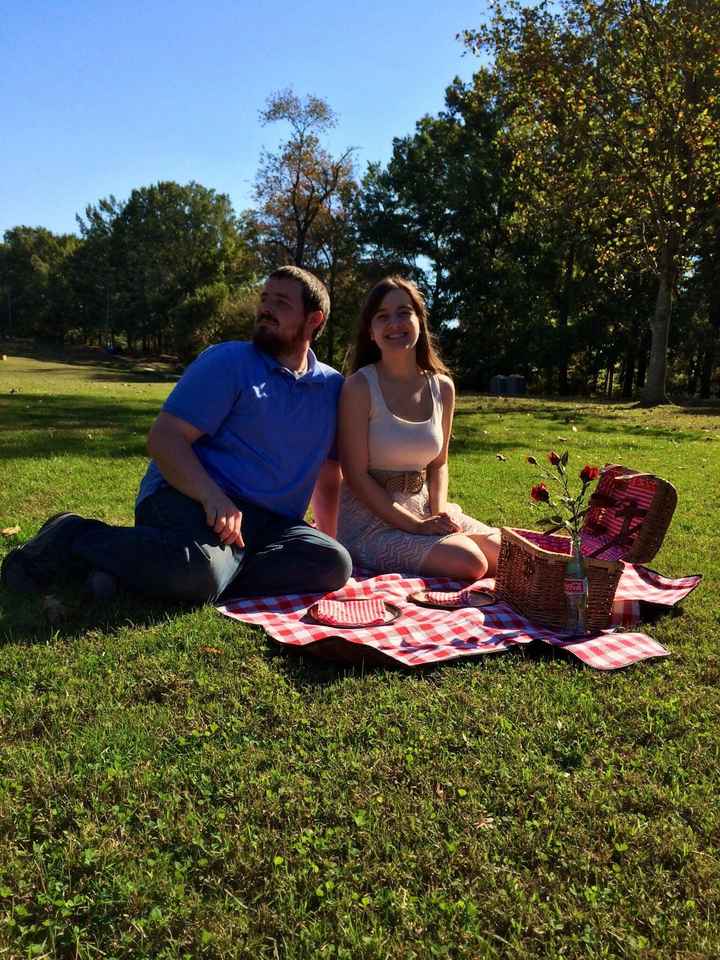 picnic themed engagement session