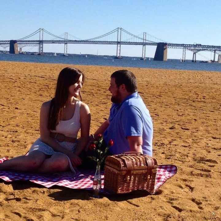 picnic themed engagement session