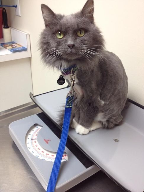 Since its Friday....