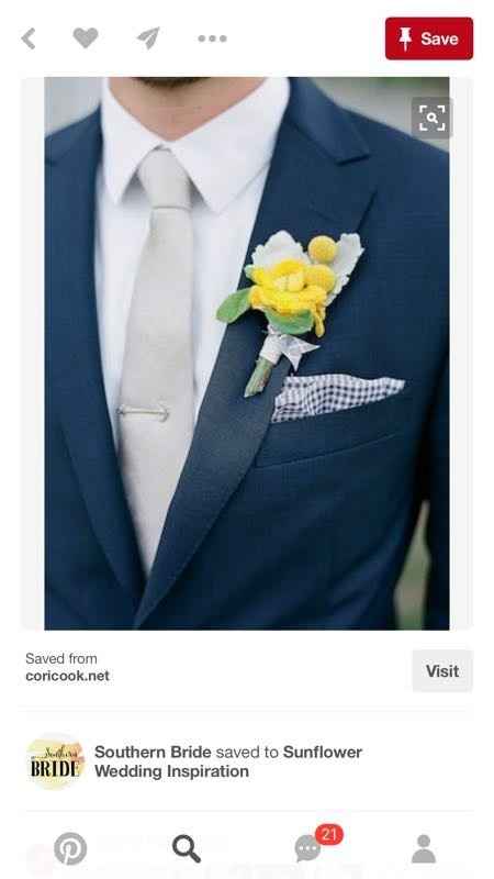 Color Scheme