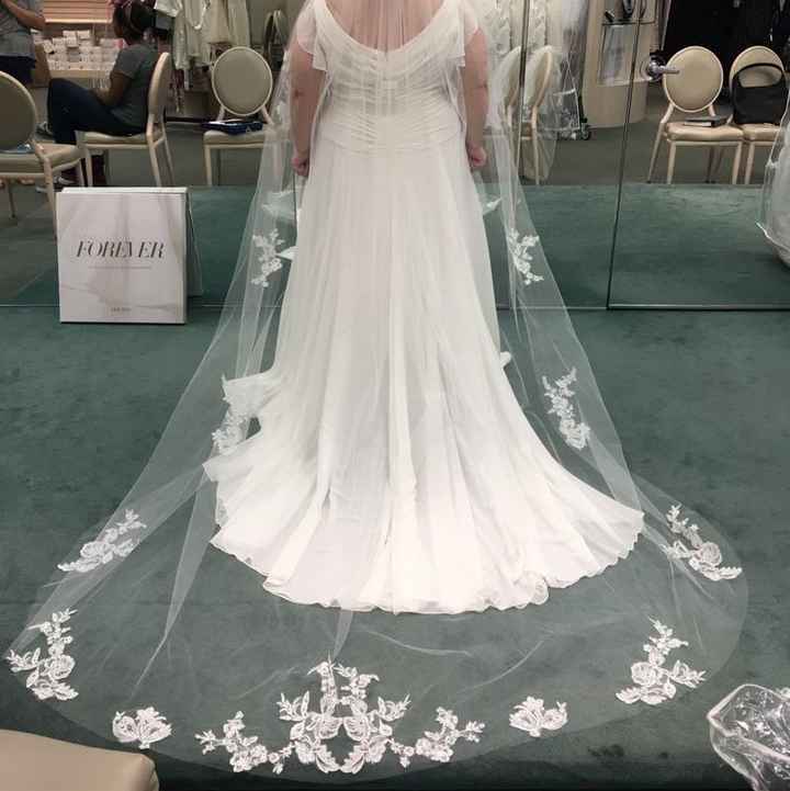 Veil or no veil?