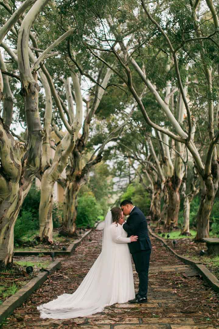 PRO BAM (finally! sorry I'm a little late!) plus size bride :)