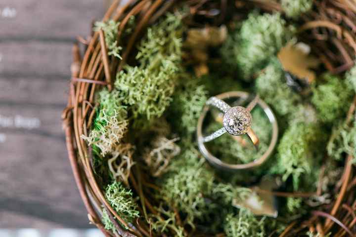 PRO BAM (finally! sorry I'm a little late!) plus size bride :)