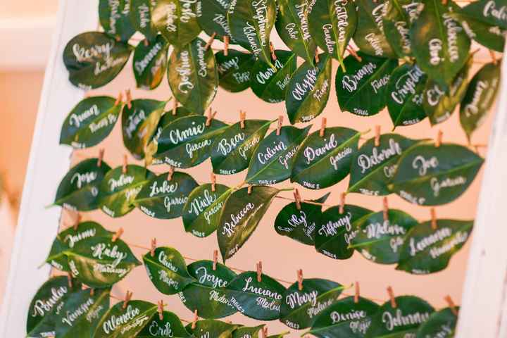 PRO BAM (finally! sorry I'm a little late!) plus size bride :)