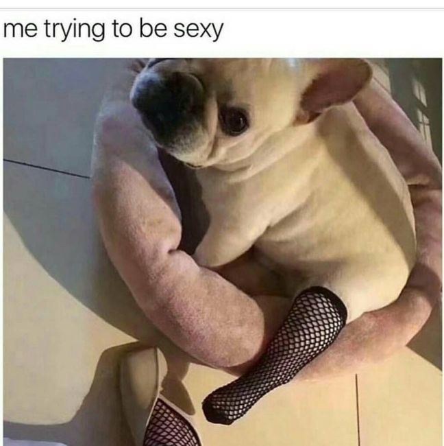 In need of cheering up...
