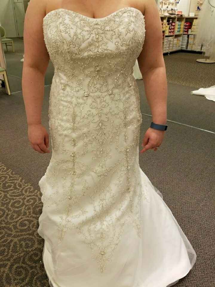 Davids Bridal Dresses!