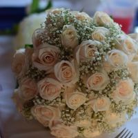 Online flowers - anyone??