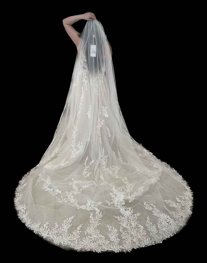 Vail length good or need longer? (cathedral wedding) - 2
