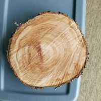 Lord of the Rings Decor - 4