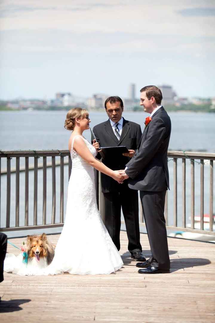 Any one having their dogs in their wedding?? She me pictures of your dogs.