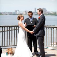 Any one having their dogs in their wedding?? She me pictures of your dogs.