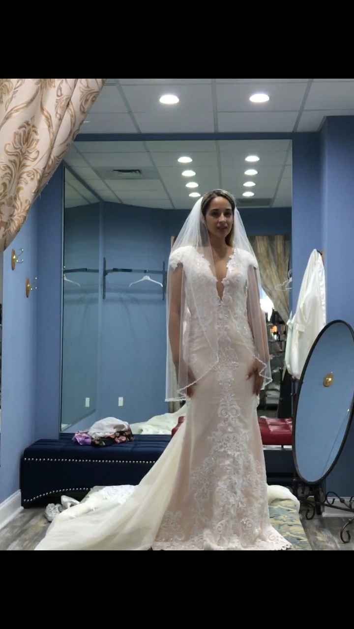 Fitted & Veiled!