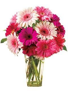 Show me your flowers! **Pics**