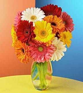 Show me your flowers! **Pics**