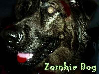 NWR: Revenge of the son of Picnik!