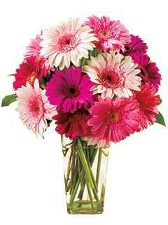 Show me your flowers! **Pics**