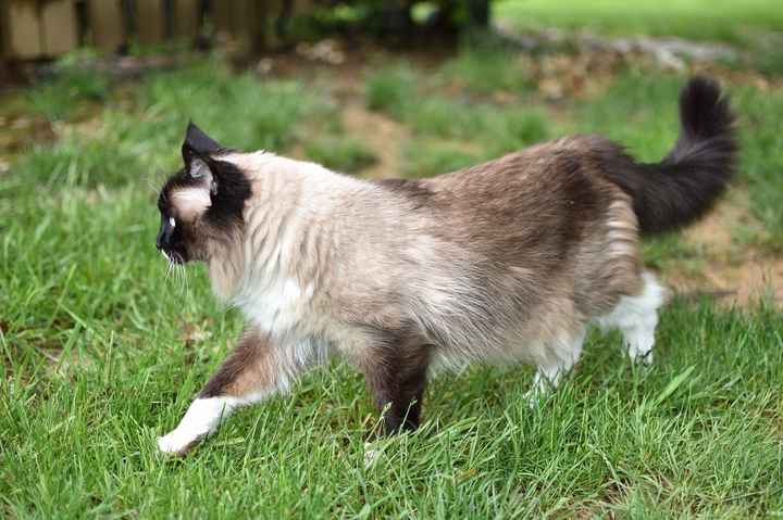 NWR- pets! We love them show me yours :)