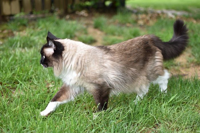 NWR- pets! We love them show me yours :)