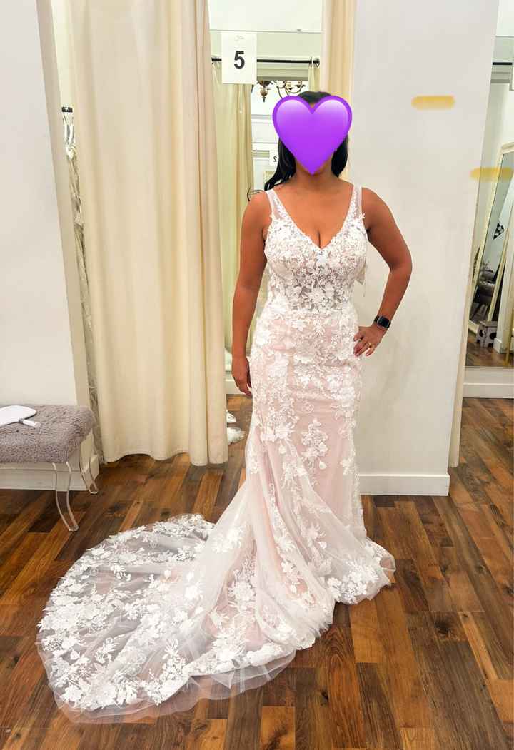 Themes that pair with blush color in wedding skirt - 1