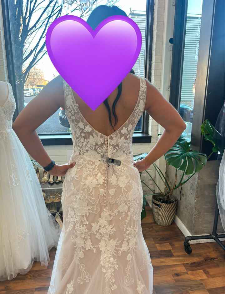 Themes that pair with blush color in wedding skirt - 2