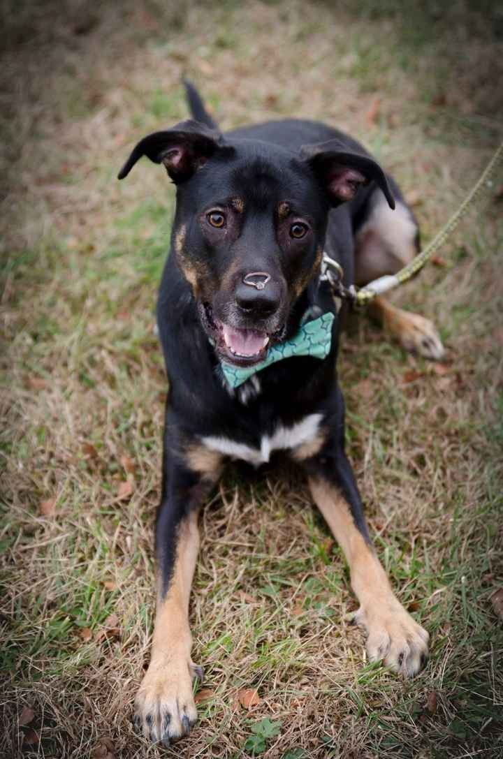 An Introduction and Professional Engagement Photos, Finally