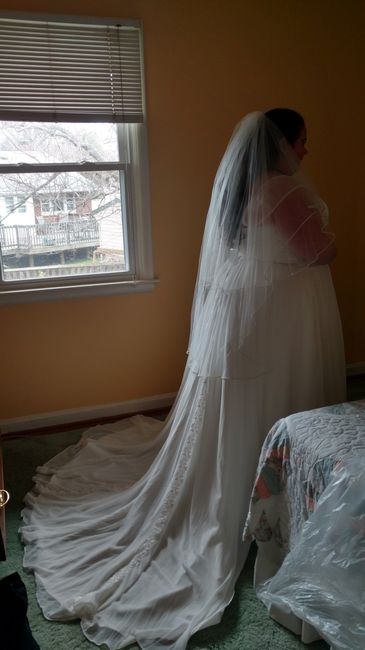 Hesitant to show my wedding dress!
