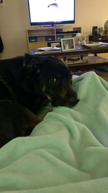 NWR: We got a furbaby!