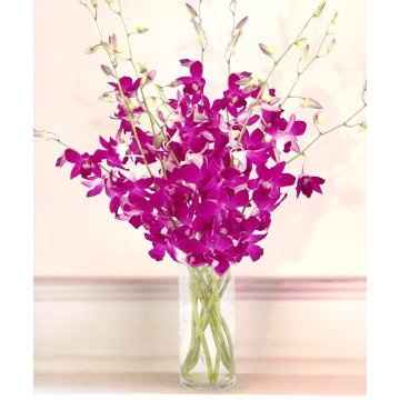 DIY Guru's.. I need your HELP!