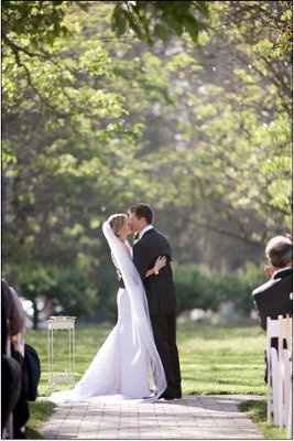 Help: Windy Venue with a Petal Curtain~Any dorks out there who can help me figure out this nerdy pro
