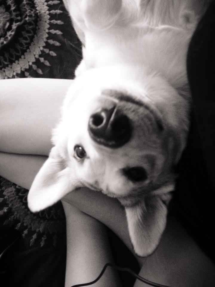 Furbaby Friday!